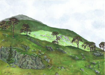 Potarch Bridge – Capturing Tranquillity in Paint An original watercolour landscape showing a green hillside with pine trees, rocky outcrops and soft Highland atmosphere.